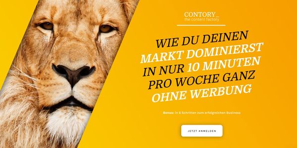 Website aus dem NEOPAQ® Portfolio